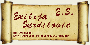 Emilija Šurdilović vizit kartica